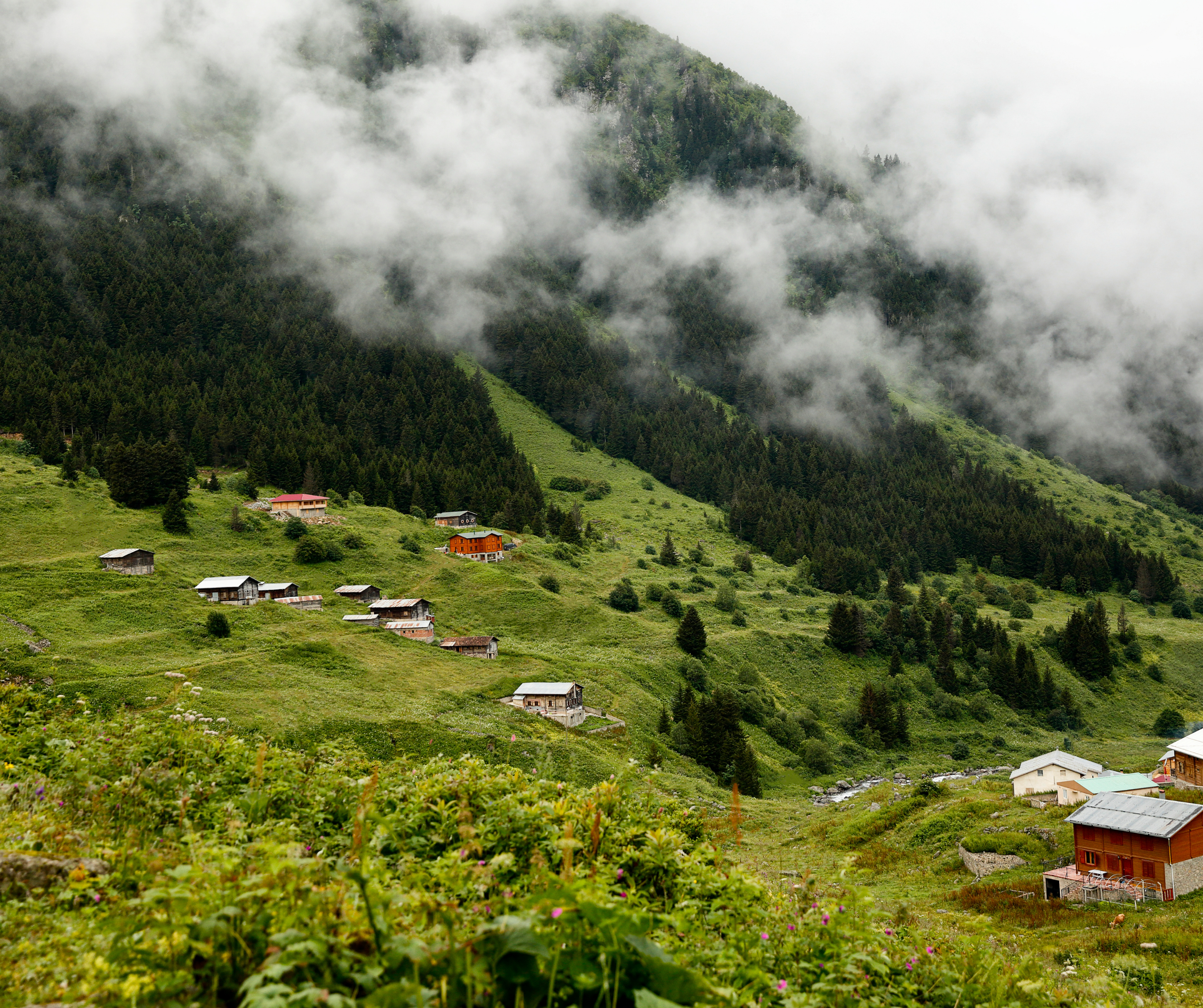 Karadeniz Yaylaları Turu: Doğa, Kültür ve Lezzet Bir Arada – Gezenti Turizm Rehberi