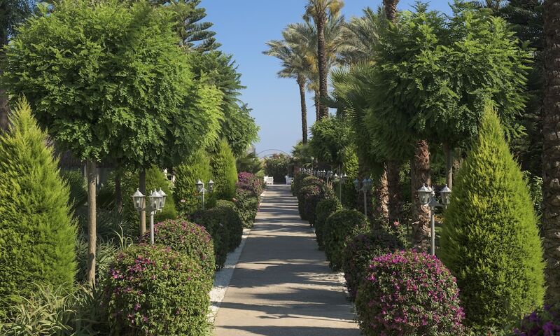 Delphin Diva Premiere Hotel - All Inclusive