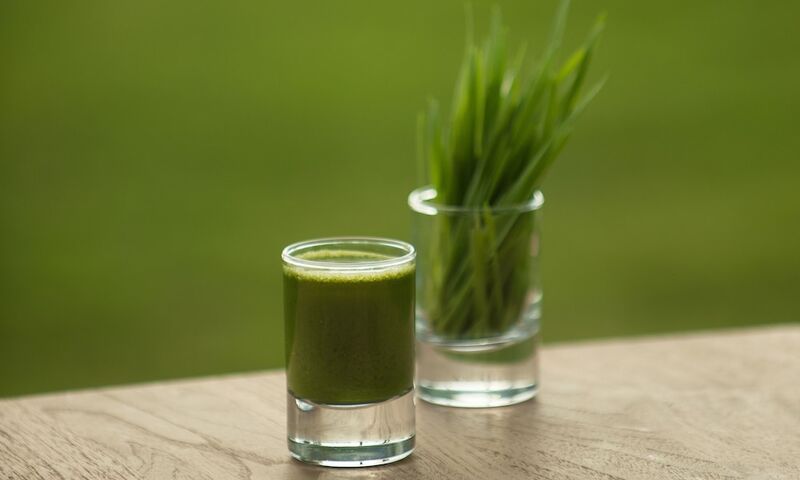 The LifeCo Antalya Well-Being Detox Center