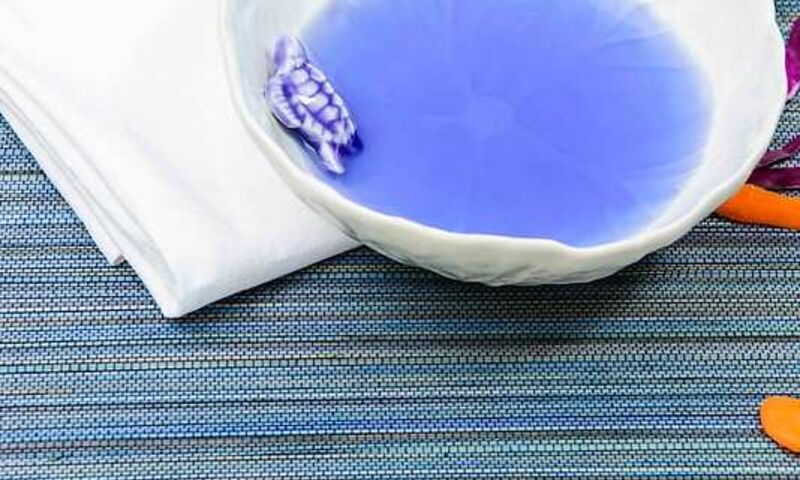 The LifeCo Antalya Well-Being Detox Center