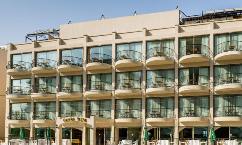 Olivia Palm Hotel