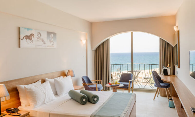 Olivia Palm Hotel
