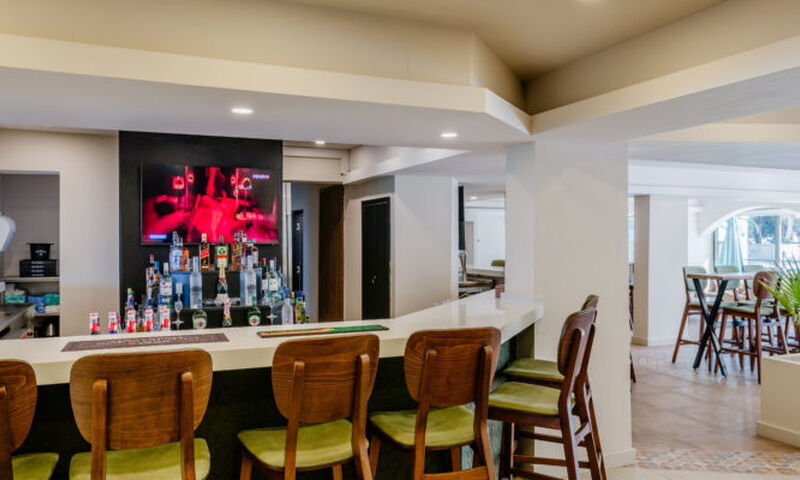 Olivia Palm Hotel