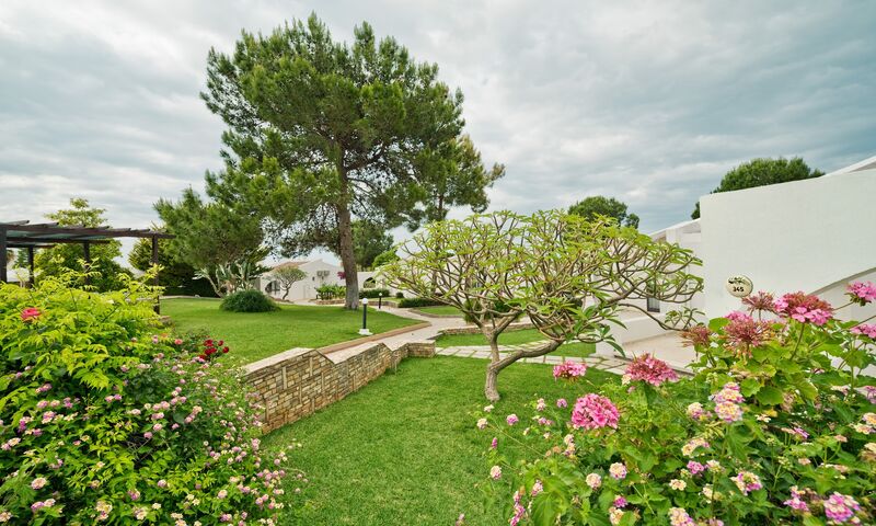 The Olive Tree Hotel