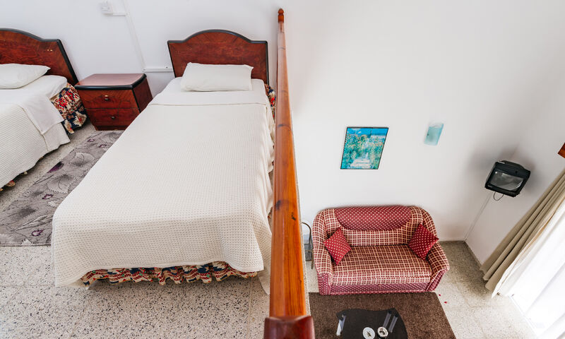 Cıtrus Tree Gardens Hotel 