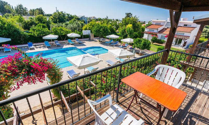 Cıtrus Tree Gardens Hotel 