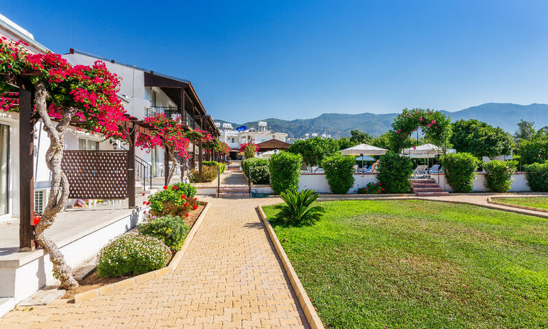 Cıtrus Tree Gardens Hotel 