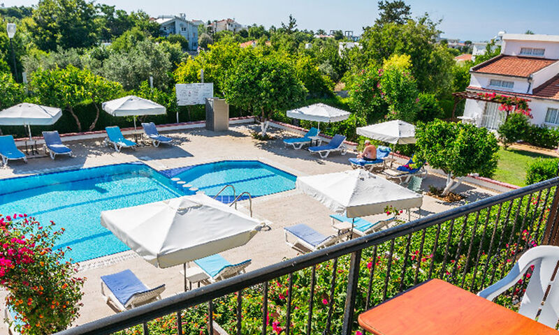 Cıtrus Tree Gardens Hotel 