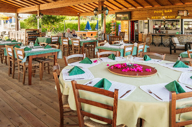 Cıtrus Tree Gardens Hotel 