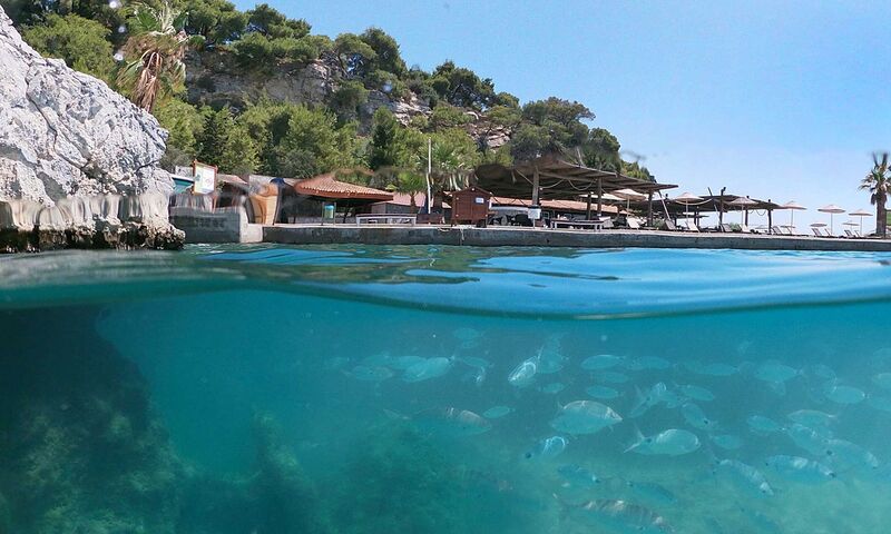 Pine Bay Club