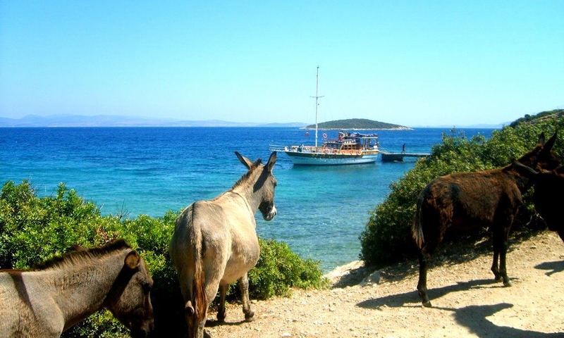 Çeşme Tekne Turu