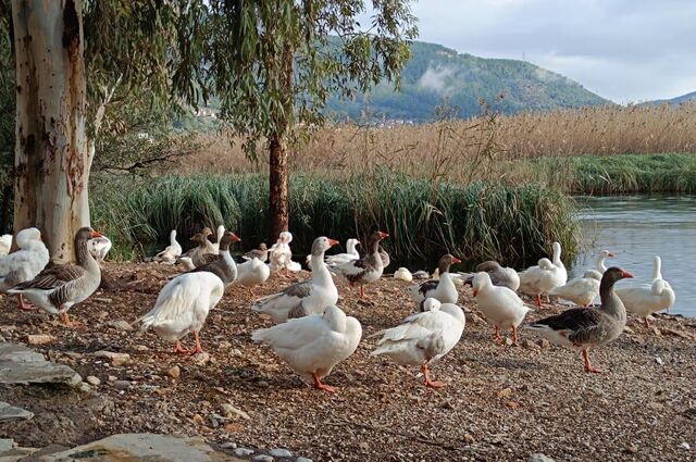 Güzelköy Akyaka Yuvarlakçay Turu