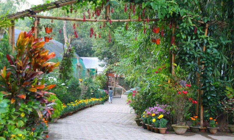 SİNGAPUR & BALİ & KUALA LUMPUR TURU Türk Hava Yolları ile 6 gece