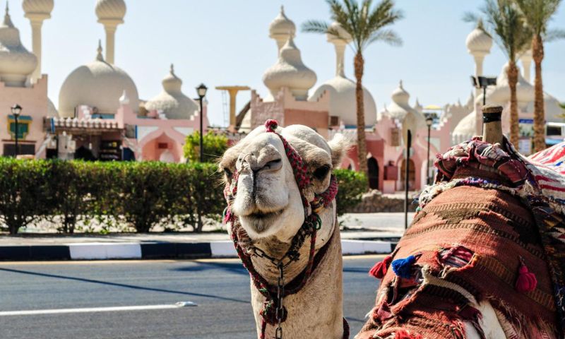Promosyon Sharm El Sheikh Turu Ajet Havayolları ile 3 Gece Transfer Saatine Kadar Otel Kullanımlı