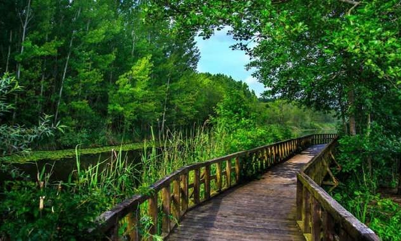 Edirne Kırklareli Trakya Turu