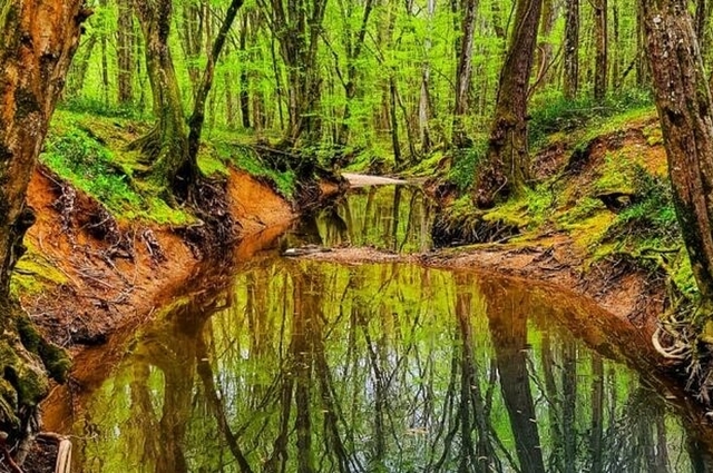 Edirne Kırklareli Trakya Turu