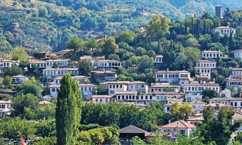 Efes Meryemana Şirince Turu